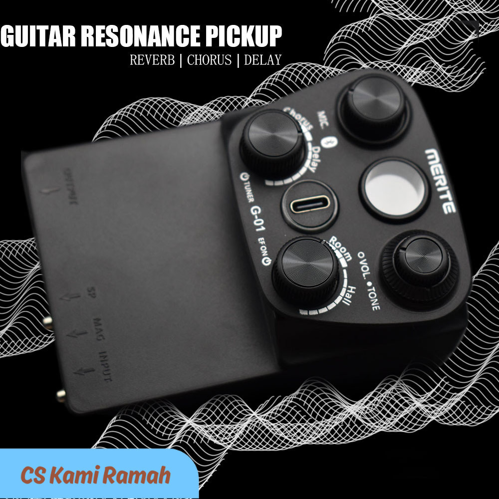 TBT G01 Guitar Resonant Pickup Resonance Sound Pickup for Guitar Reverb Chorus Delay Guitar Pickup D