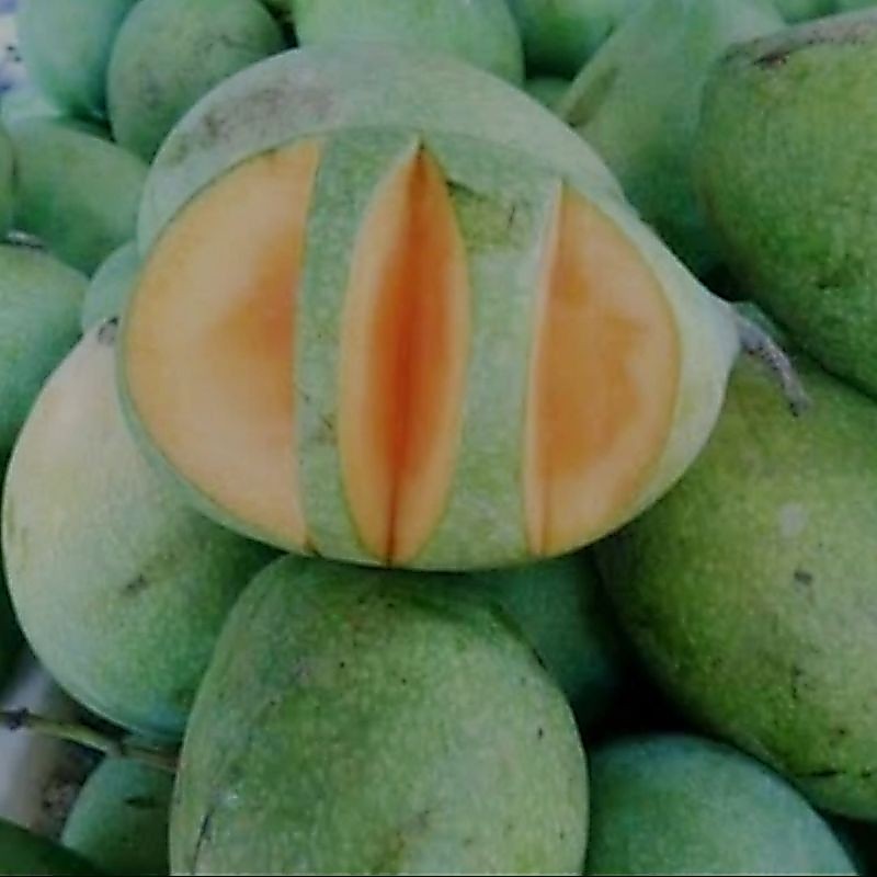 Mangga Manalagi Buah Segar Ibaza fruitsBOX
