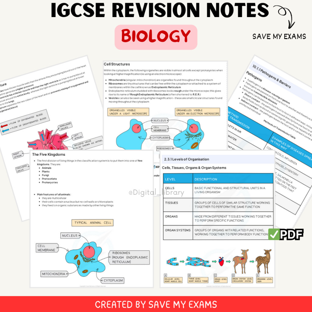 IGCSE Biology Notes / Revision Notes (SME) (BUKAN BUKU)