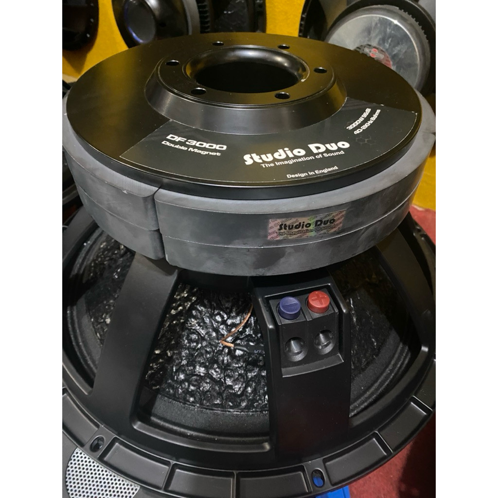 SPEAKER 18 Inch DOUBLE MAGNET DF3000 STUDIO DUO Kulit Jeruk BASS SUB