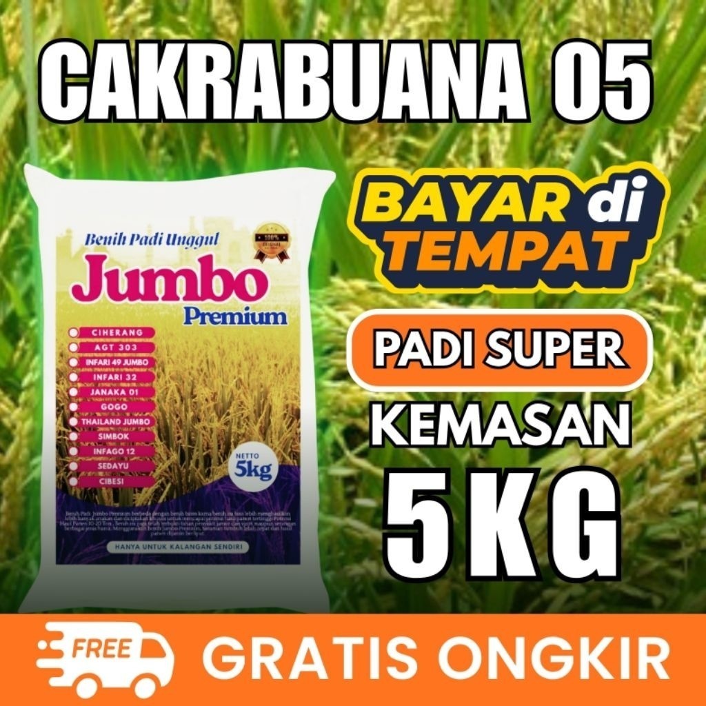 Benih Padi CB 05 (Cakrabuana 05)