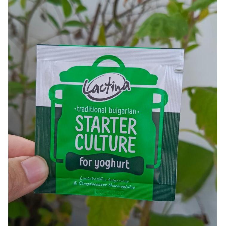 BIBIT YOGHURT LACTINA ORIGINAL BULGARIA