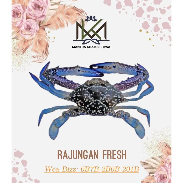 RAJUNGAN FRESH KEPITING RAJUNGAN LAUT SEGAR RAJUNGAN HIDUP