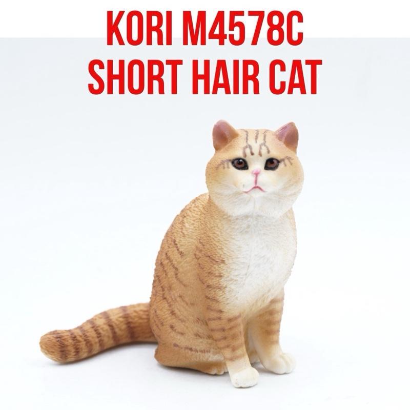 KORI BSP Orange Short Hair Persian Cat Kucing Persia Felis Catus Mainan Figure Binatang Miniature He