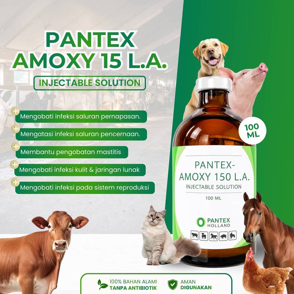 Amoxy LA 150 100ml - Obat Hewan Ternak Grosir - Obat Injeksi Hewan Ternak
