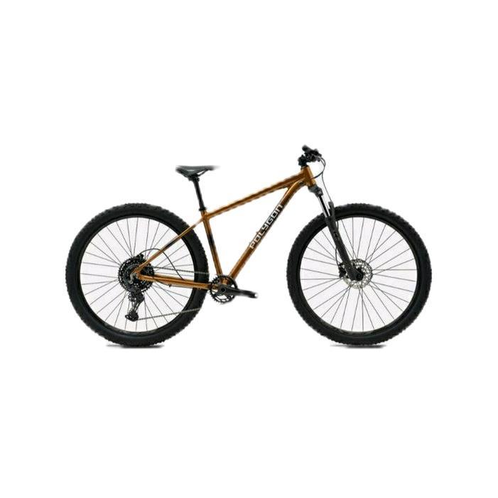 Sepeda Polygon Cascade 5 IN - S