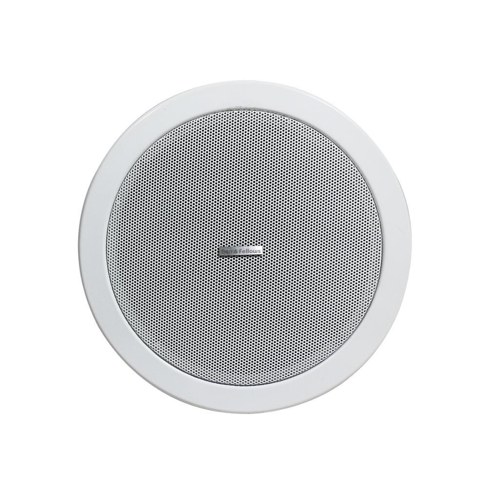 Ben & Fellows IP Network Ceiling Speaker 6 Inch 15W Supports POE Power Supply Active IP Ceiling Spea