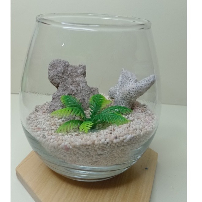 Chaira- Paket Aquarium Mini Paket Aquarium ikan Cupang Guppy Aquarium miniatur Laut