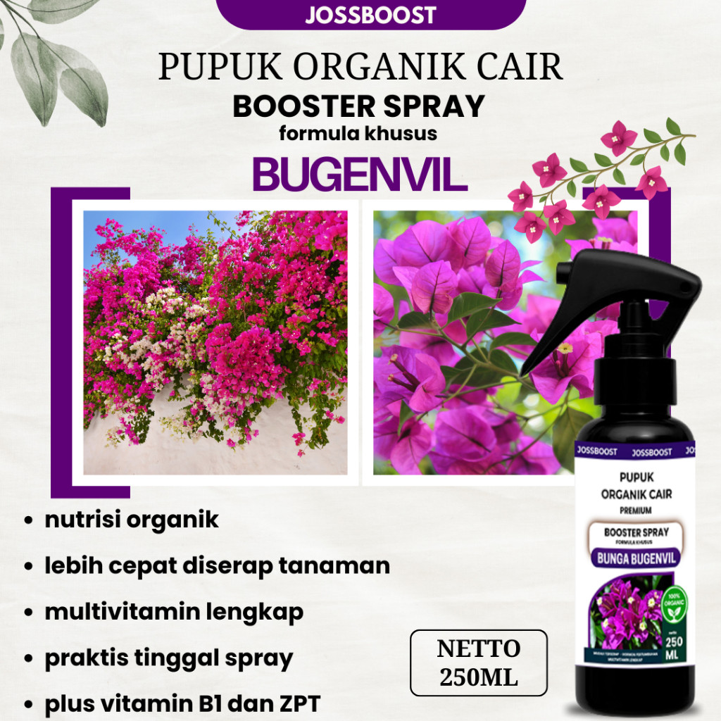 Pupuk Penyubur Pelebat Bunga Kertas - Pupuk Bougenville - Pupuk Organik Spray Tanaman Hias