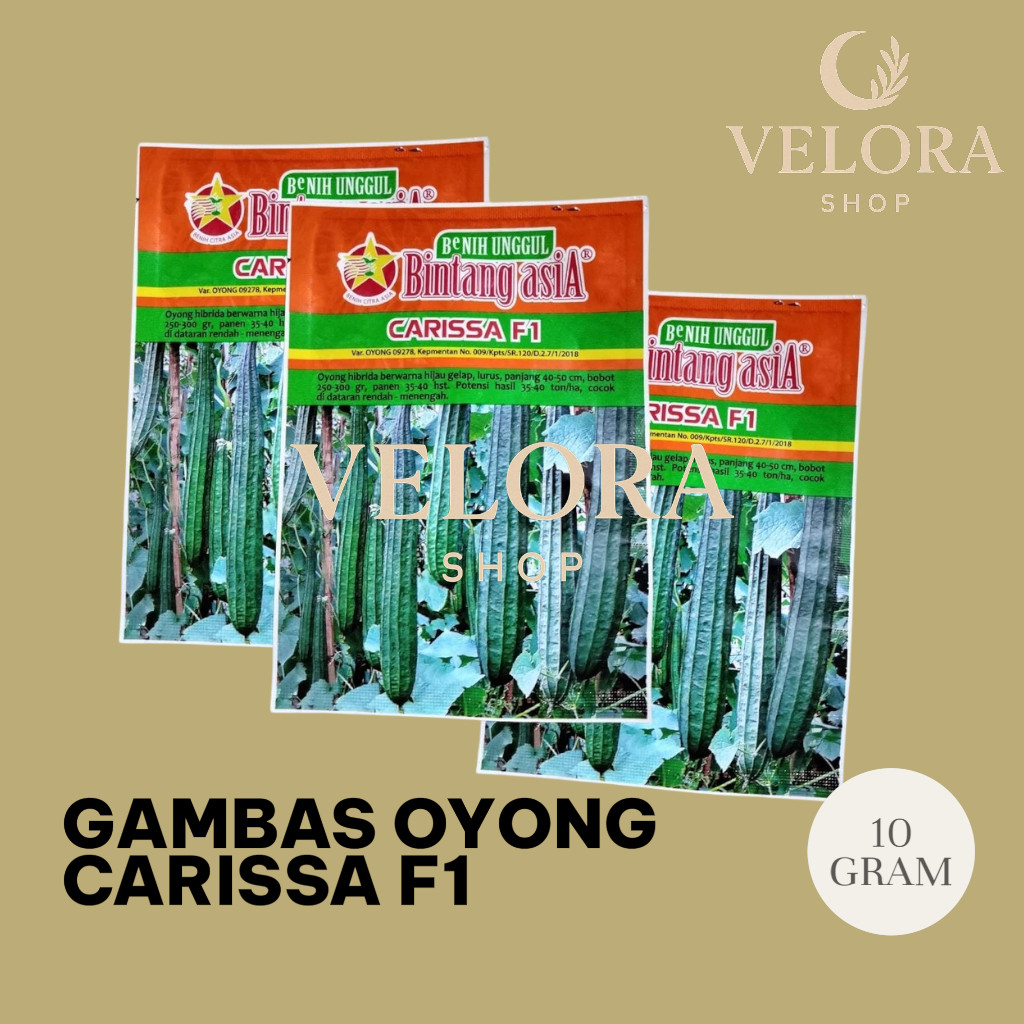 Benih Oyong CARISSA F1 Isi 10 gram Benih Bintang Asia
