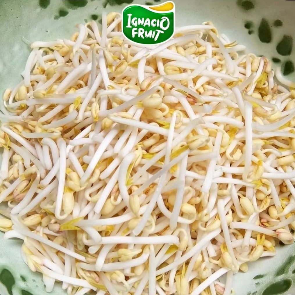 [INSTAN] Kecambah Tauge [ ±150Gr ] IgnacioBox /Sameday/buah/buah lokal/buah import/jakarta