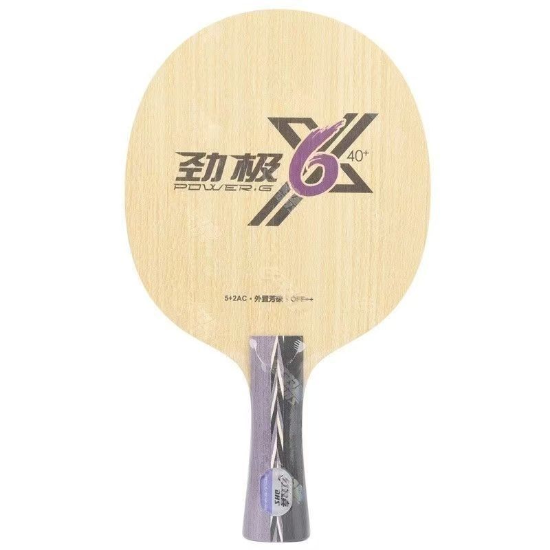 DHS POWER G6X Table tennis racket