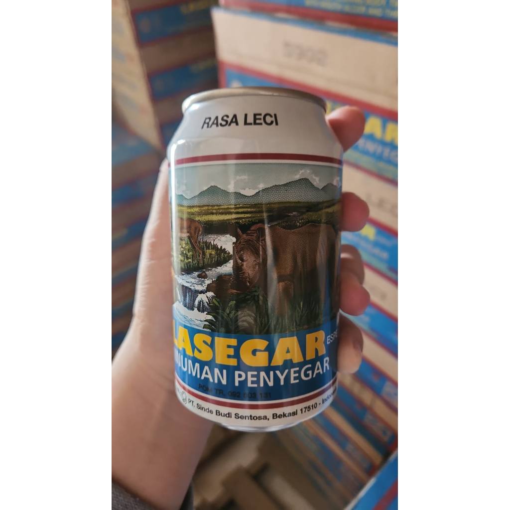LASEGAR KALENG LECI 1x24x320ml
