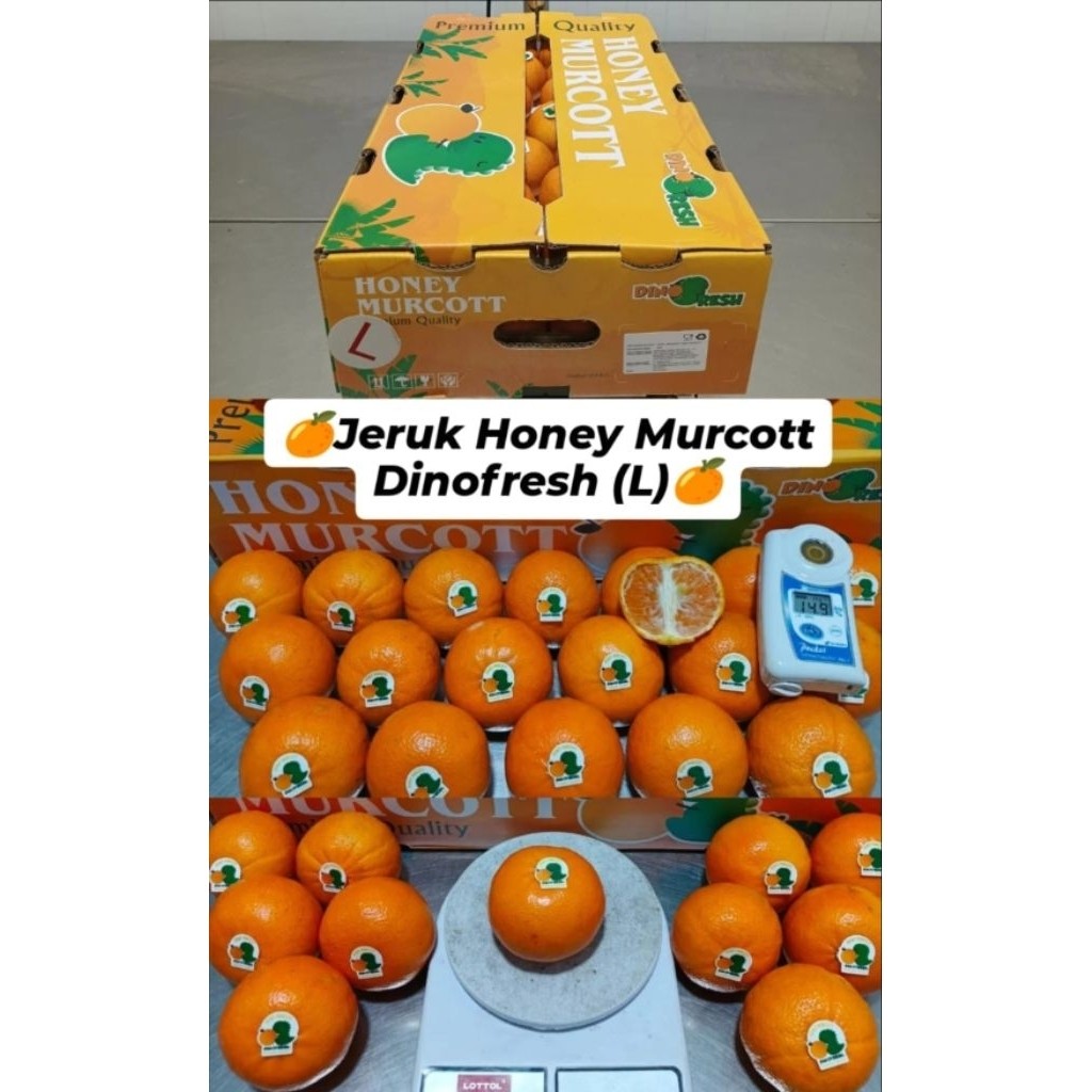 Jeruk Mandarin Honey Murcot 1 dus