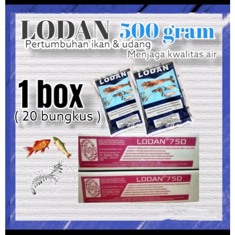 lodan 500 1 doz lodan 1 box (20 sachet) bms