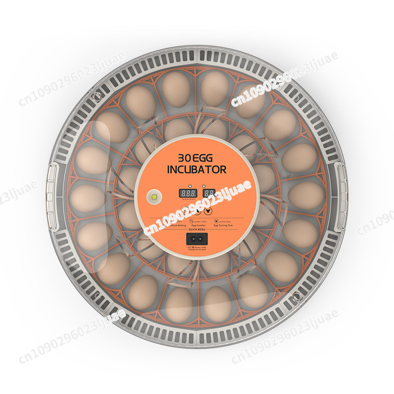 Intelligent Egg Incubator Rutin Chicken Small Incubator Poultry Incubation Breeding Incubator
