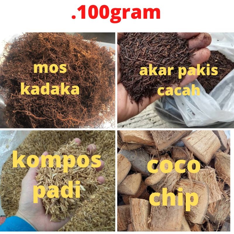 Baru media tanam anggrek siap pakai