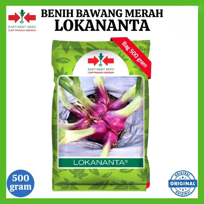 Benih Bawang Merah LOKANANTA 500 Gram - Bibit Cap Panah Merah 500 Gr