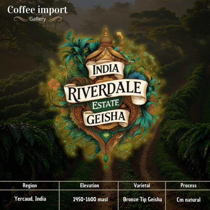 India Riverdale Estate Geisha | Green bean import arabika 500gr