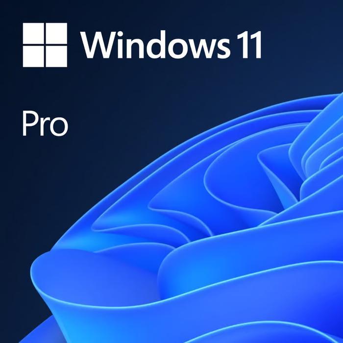 WINDOWS 11 PRO or WINDOWS 10 PRO LICENSE ORIGINAL - WINDOWS 11 PRO