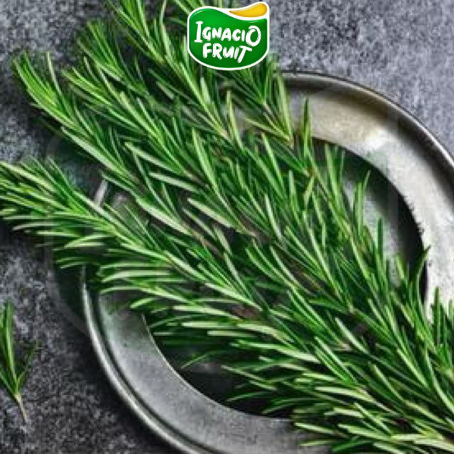 [Instant] Daun rosemary, daun rosemary segar, daun rosemary fresh - Ignaciobox - Sameday
