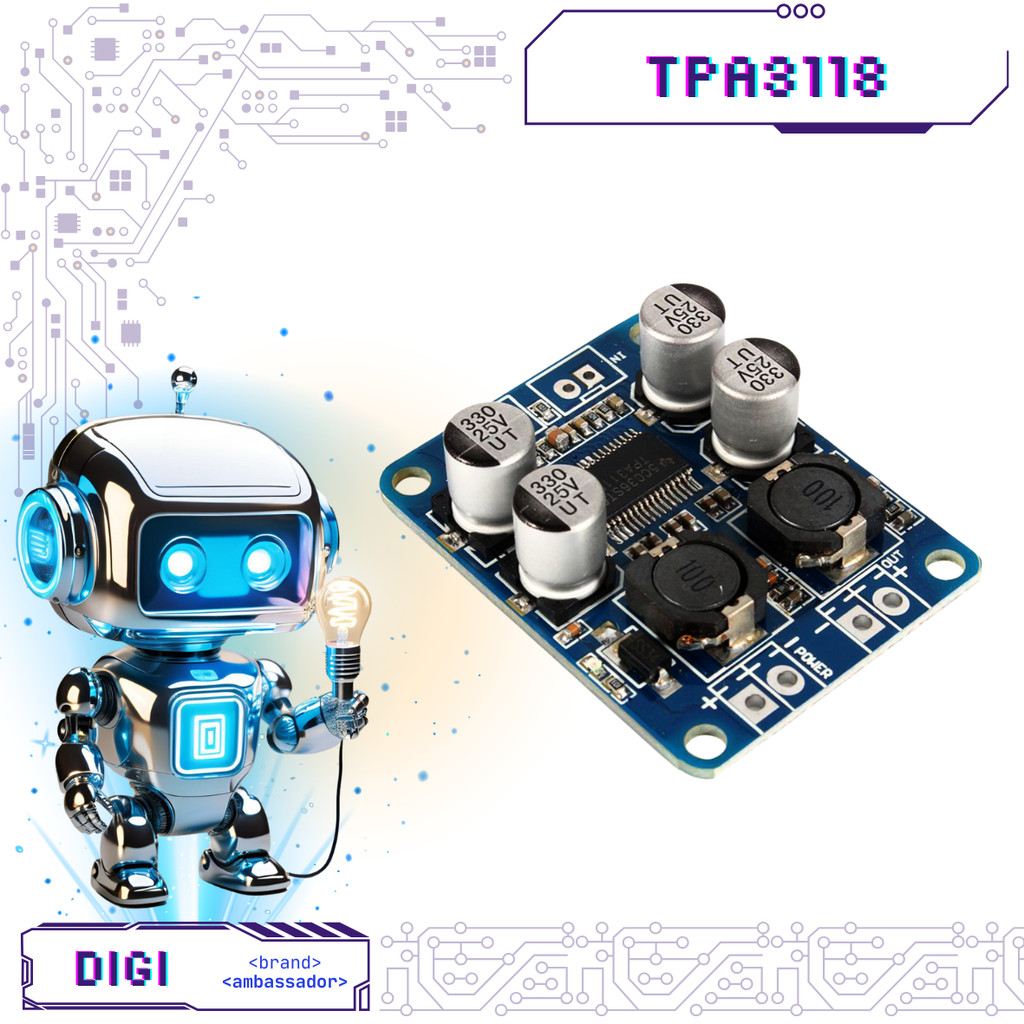 TPA3118 60W Mono Amplifier - TPA - Digibot