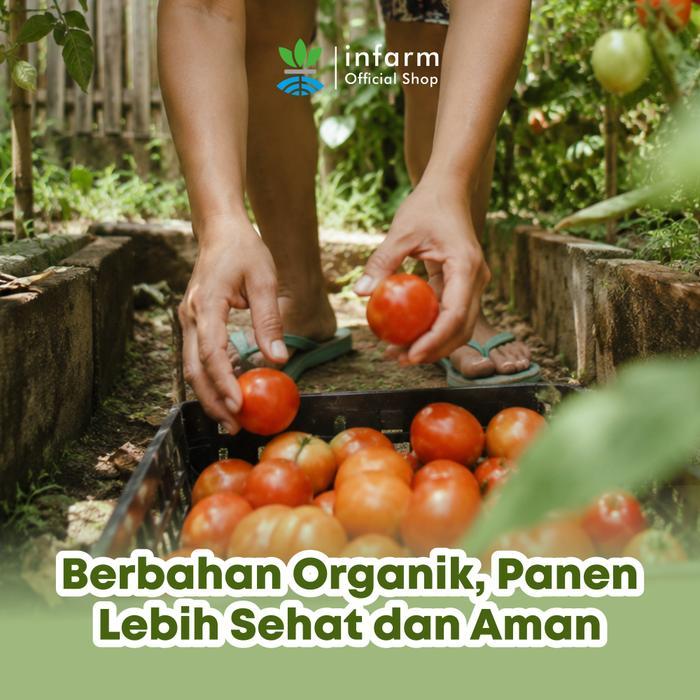 TerbaruINFARM - Pestisida Nabati Hama Kutu Kebul 500 ml, Pestisida Organik Siap Pakai Semprotan Basm
