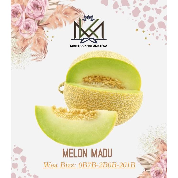 MELON MADU MELON MANIS MELON LOKAL MADU MANIS