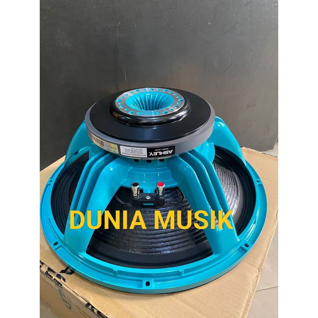 SPEAKER COMPONENT ASHLEY LS184 LS 184 18 INCH ORIGINAL