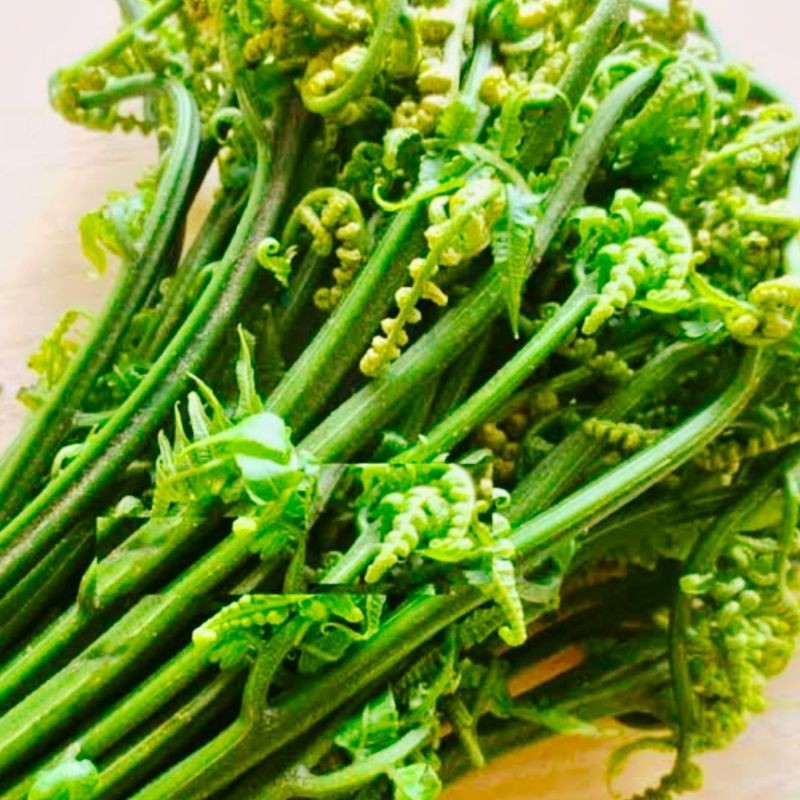 

Sayur Pakis/ Supa Paku Sayur Segar Ibaza fruitsBOX Asli Fresh dari Hutan Pegunungan Dataran Tinggi