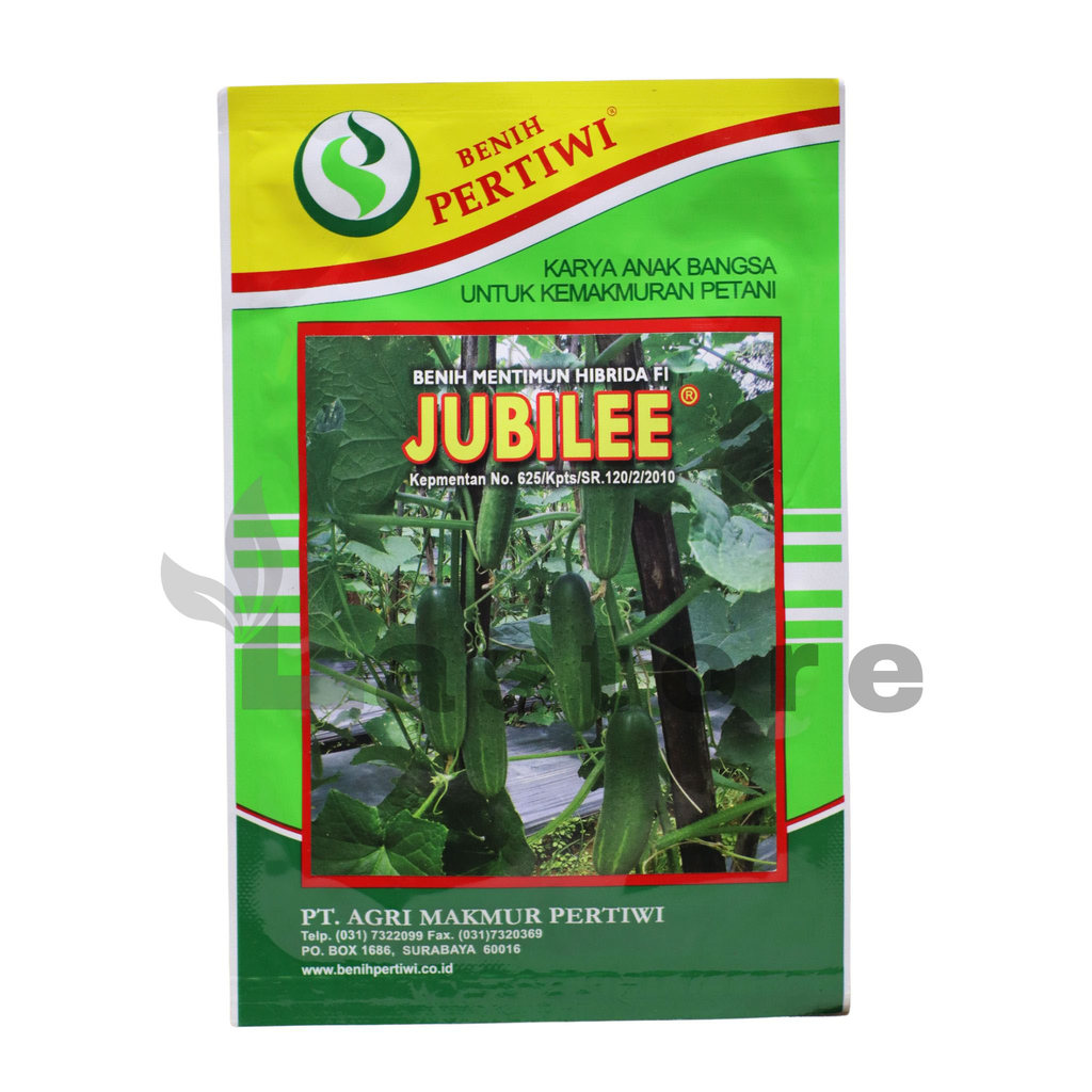 Benih Timun Mentimun JUBILEE Isi 25 Gram Benih Pertiwi