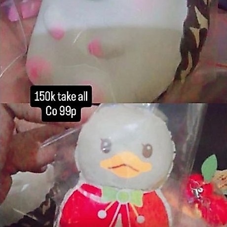 squishy ibloom landak dan Sammy snowman