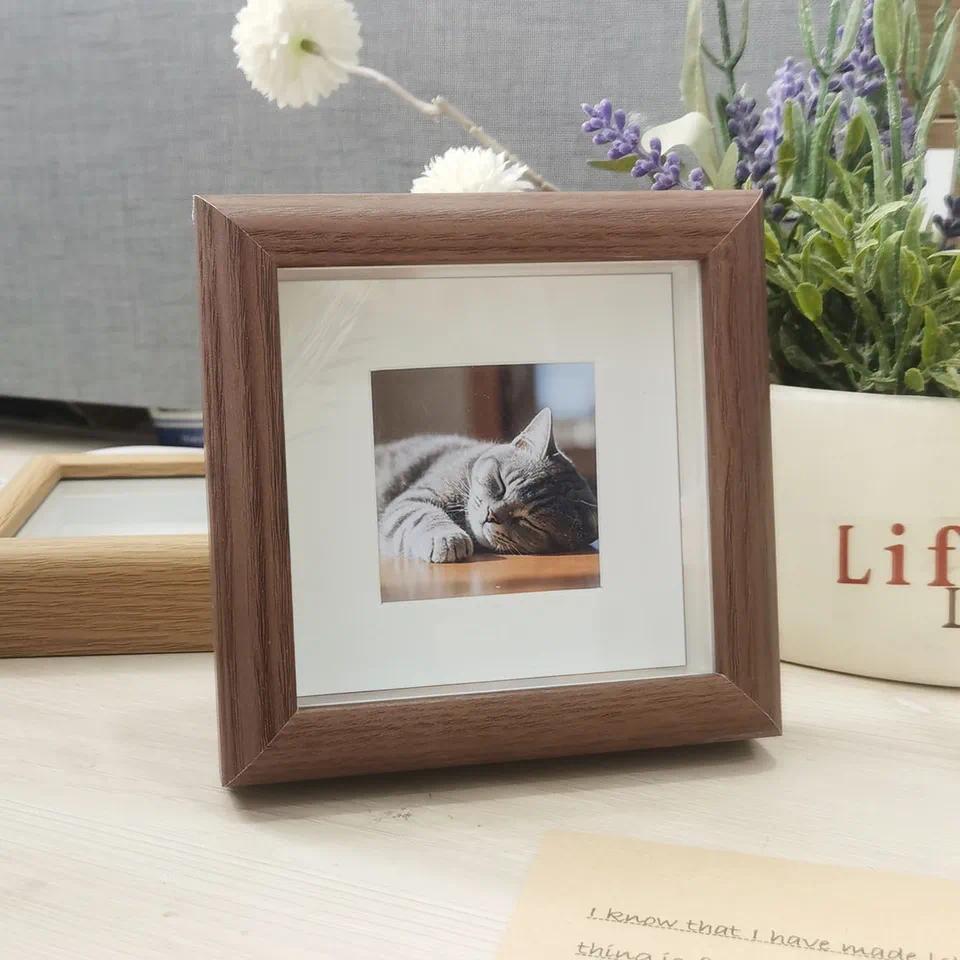 Mini Photo Shadow Box Frame for Loved Ones/Pets, 1.5cm Hidden Layer, 10x10cm Desk & Wall Decor, Comp