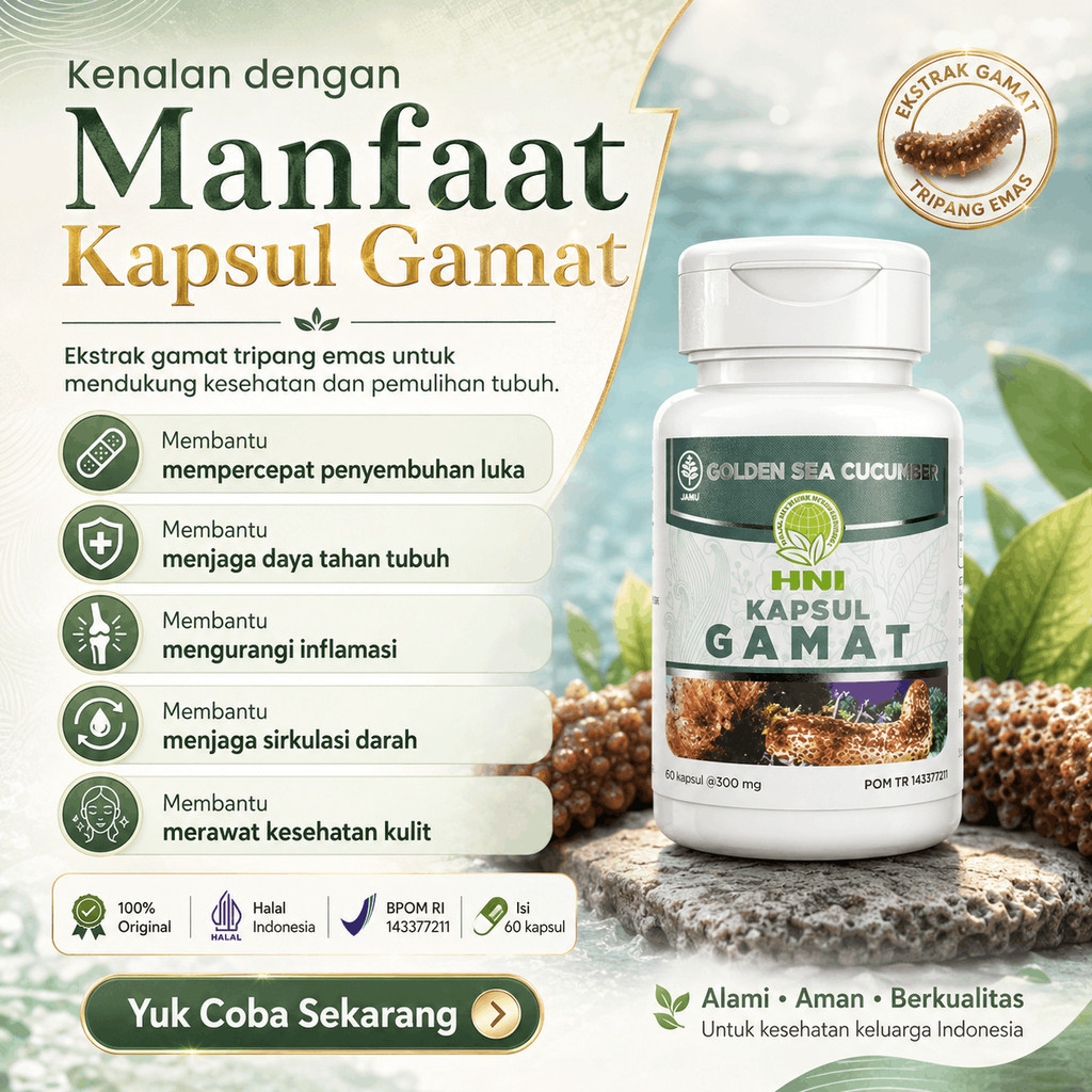GAMAT HNI KAPSUL Ekstrak Teripang Emas Untuk Nyeri Sendi - HNI  BPOM