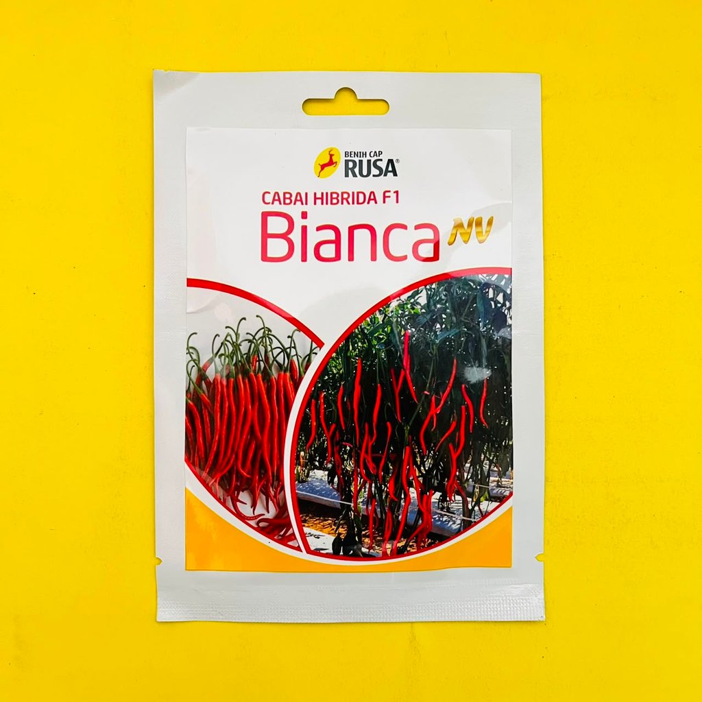Benih Cabai Keriting BIANCA NV isi 10gr dari CAP RUSA tahan serangan patek/antraknosa