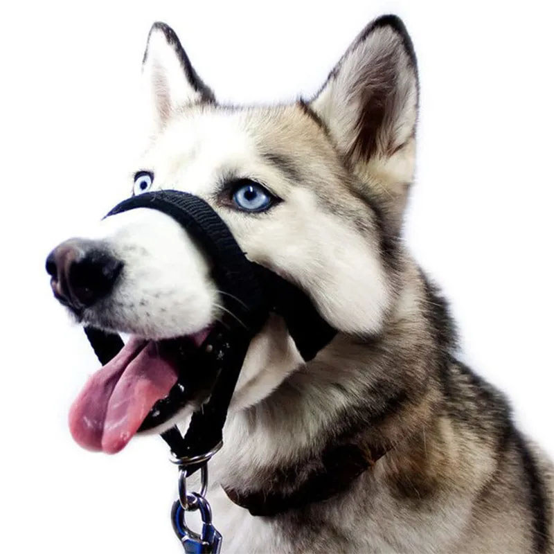 Pet Muzzle Dog Muzzle Adjustable Anti-biting Nose Hair Mask Pet Traction Set Dog Muzzle Training Bel