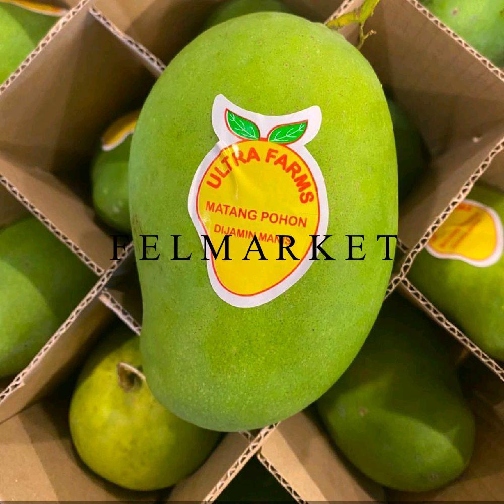 Mangga Harumanis Matang Pohon Djamin Manis / Buah Mangga Suluhan / Mangga Harumanis Matang Pohon / 1