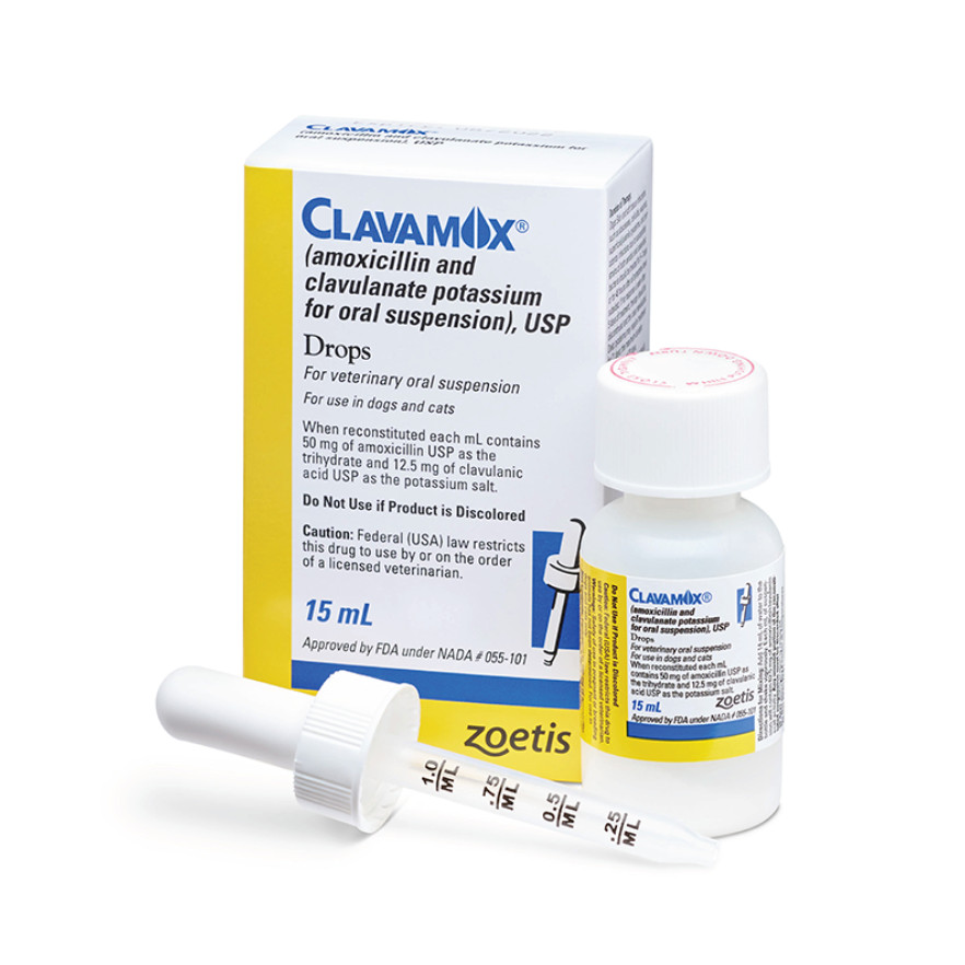 [SUNNYPAWS] CLAVAMOX Drops 15 ML 62.5 MG Oral Suspension Antibiotik Anjing Kucing Hewan Zoetis