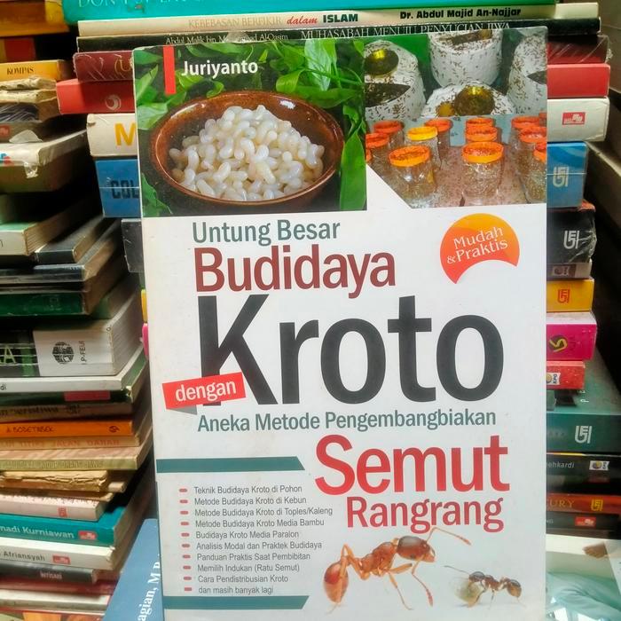 ORI UNTUNG BESAR BUDIDAYA KROTO SEMUT RANGRANG JURITANTO