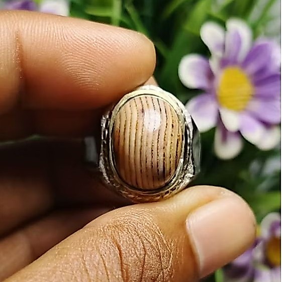 Cincin Batu akik Jipen sisik ular dari Madura