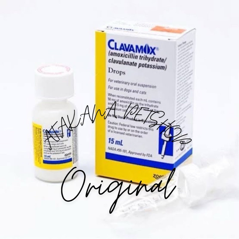 ZOETIS CLAVAMOX DROPS ANTIBIOTIK KUCING ANJING    BERKUALITAS