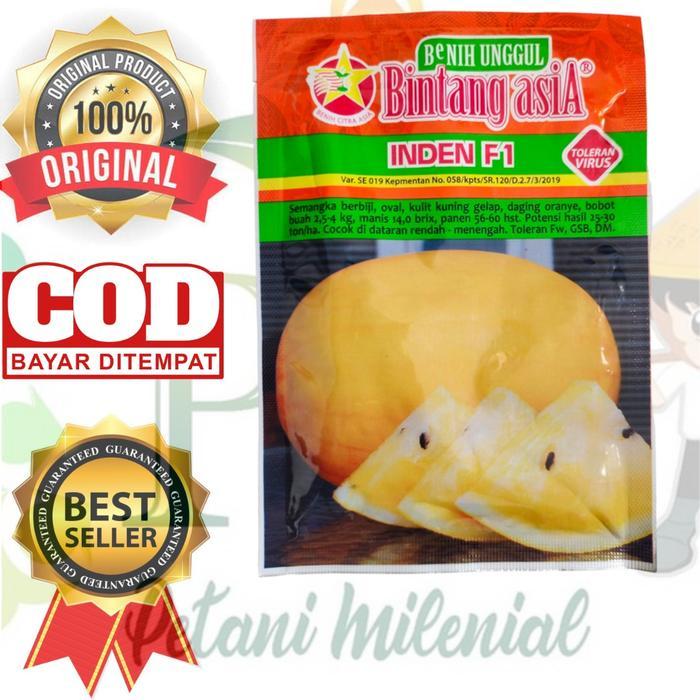 PROMO  BENIH SEMANGKA GOLDEN/Kuning INDEN F1 - BIBIT BINTANG ASIA Kuning - -, -