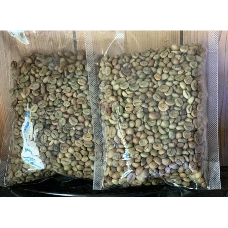 green bean robusta