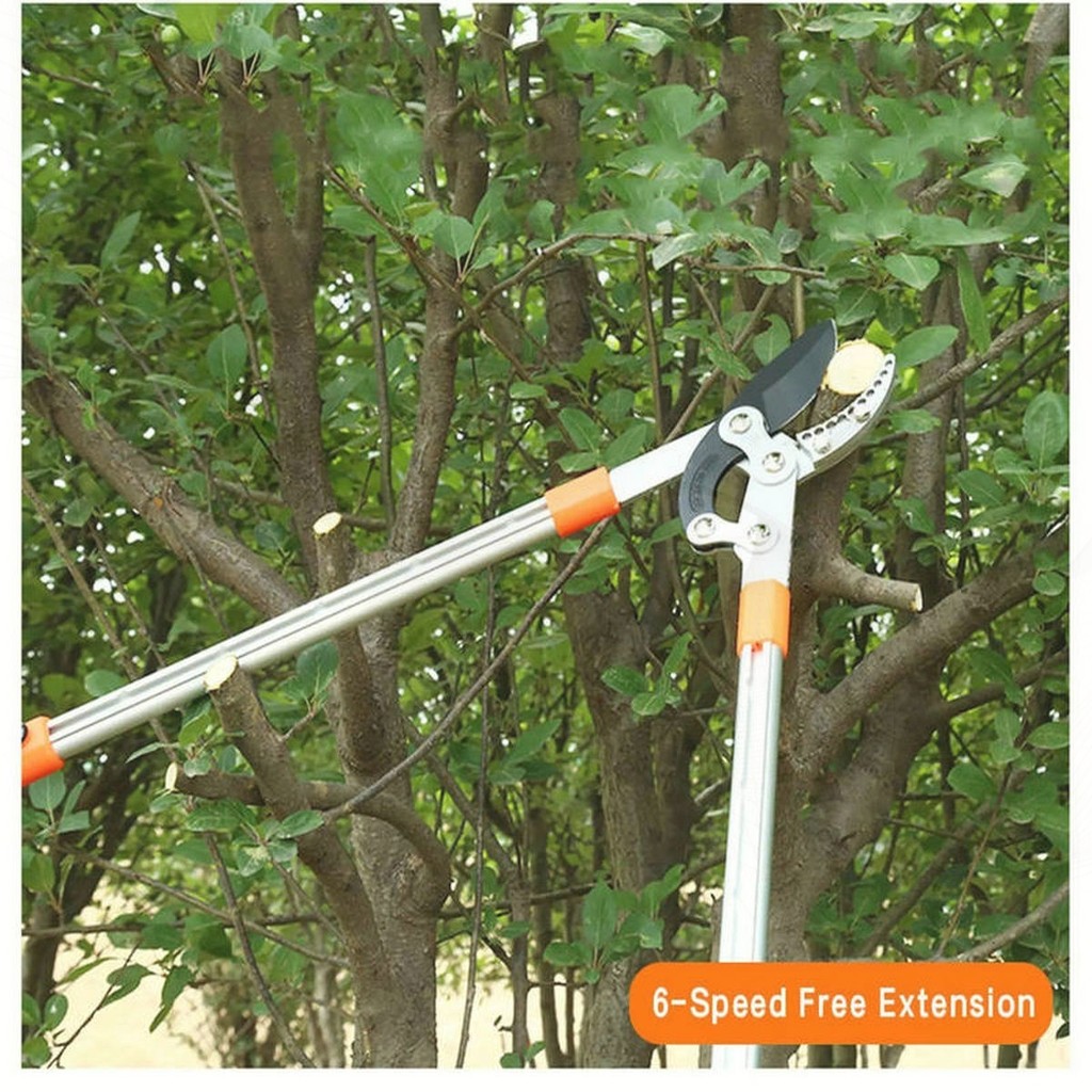 alat bonsai gunting pruning stenlis 21cm import GUNTING DAHAN DAN RANTING POHON HASSTON PROHEX ORIGI