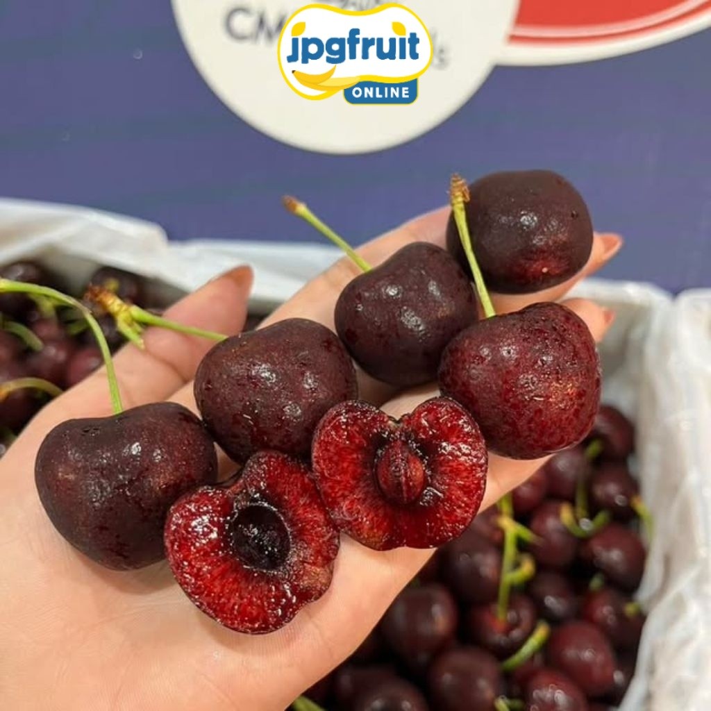 CHERRY IMPORT SEGAR FRESH