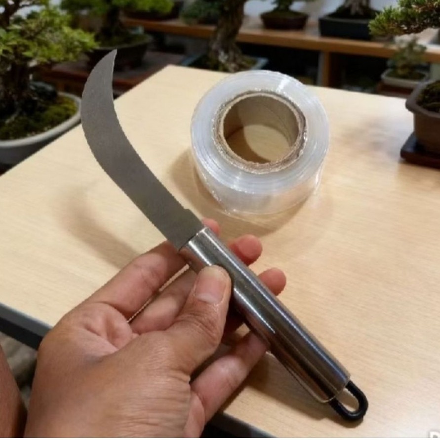 Paket pisau okulasi grafting & grafting tape cangkok alat berkebun tanaman