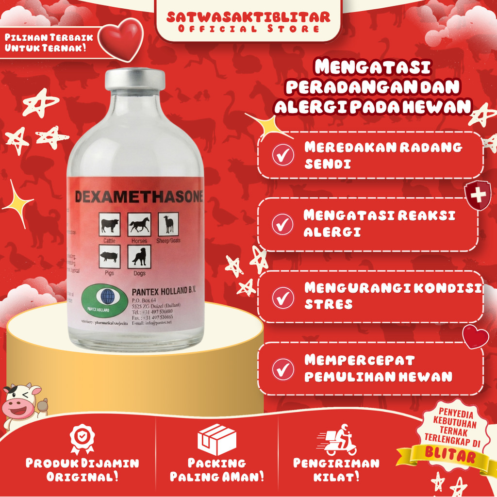 DEXAMETHASONE 100 ML PANTEX  HOLLAND - Anti Radang Untuk Sapi