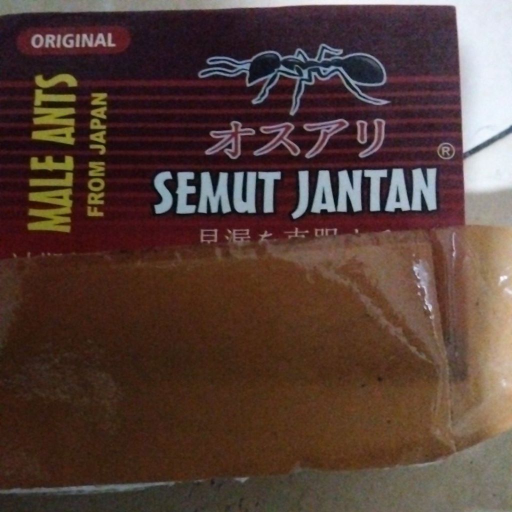 Asli Promo semut jantan from Japan