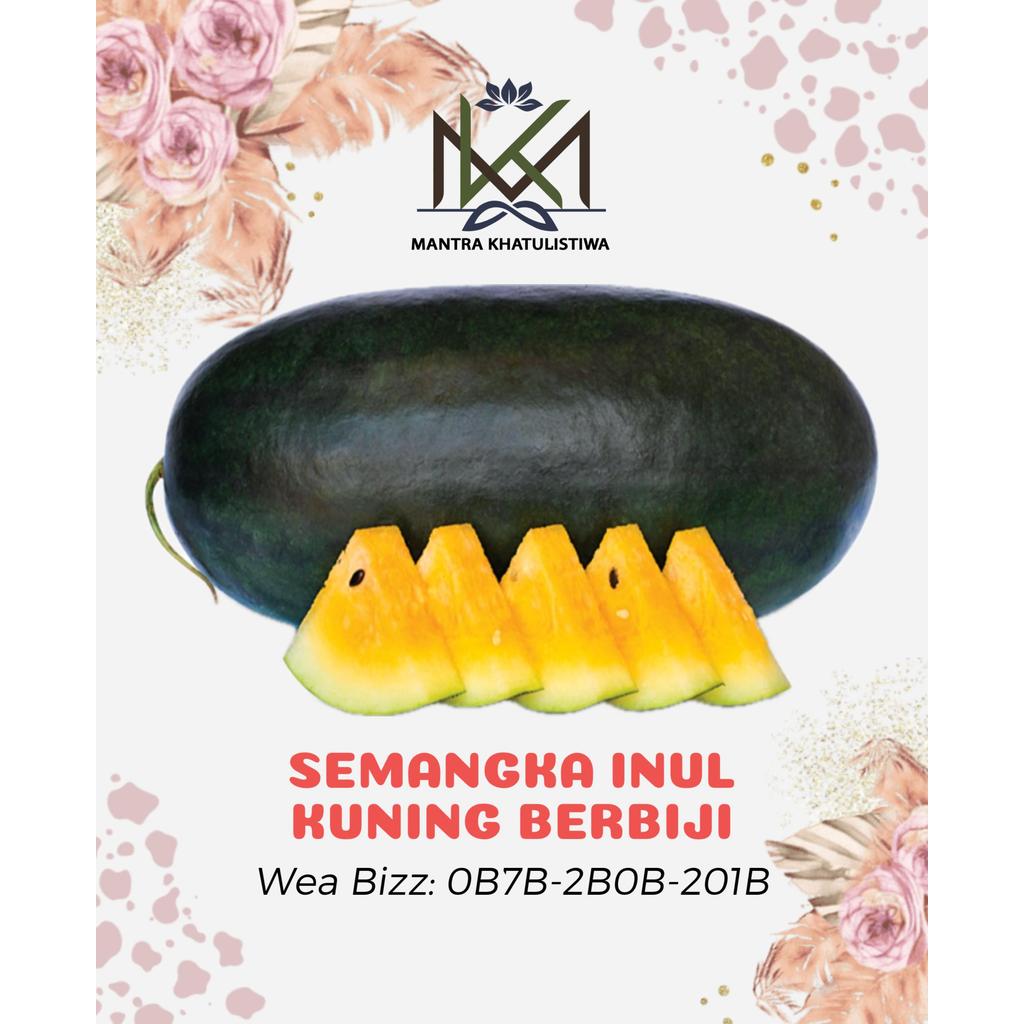 SEMANGKA INUL KUNING MANIS SEMANGKA LONJONG KUNING