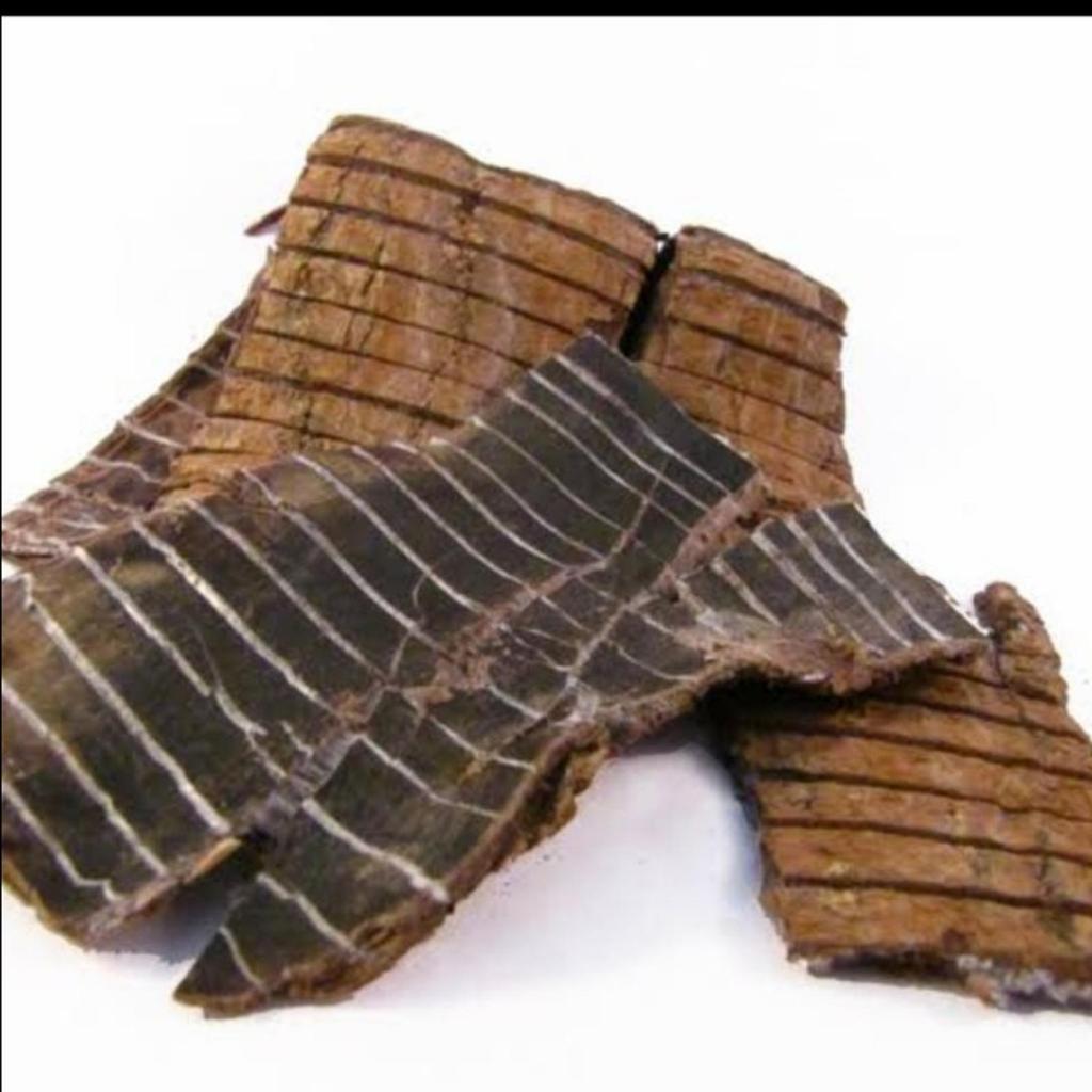 Du zhong eucommia bark to tiong totiong duzhong 100 gram
